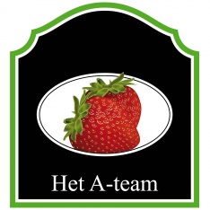 Wie is wie? Wie is wie?